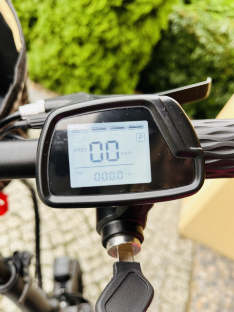 Rower elektryczny dziecięcy/damski/męski