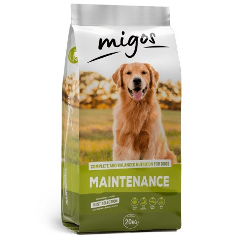 Migos Maintenance 20kg