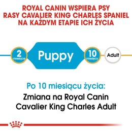 ROYAL CANIN Cavalier King Charles Spaniel Puppy 1,5kg