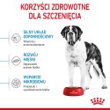ROYAL CANIN Giant Junior 15kg