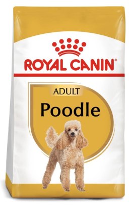 ROYAL CANIN Poodle Adult 1,5kg