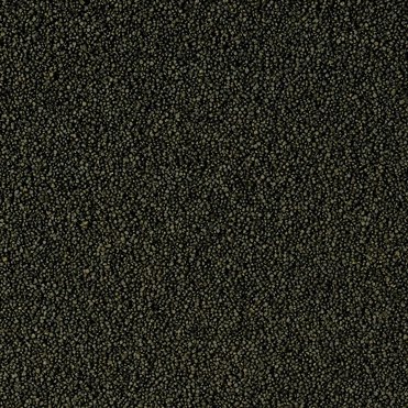 Tropical Super Spirulina Forte Mini Granulat 250ml