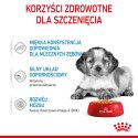 ROYAL CANIN Medium Puppy 10x140g