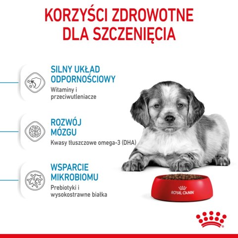 ROYAL CANIN Medium Puppy 1kg