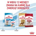 ROYAL CANIN Medium Puppy 1kg