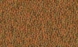 Tetra Wafer Mix 100ml