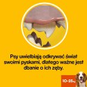 Pedigree DentaStix Przysmak Dentystyczny Dla Psów Małych Ras 45g