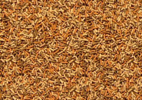 Tetra Pond Variety Sticks 7l