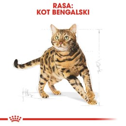 ROYAL CANIN Bengal Adult 2kg