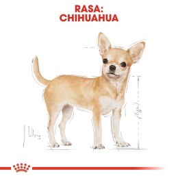 ROYAL CANIN Chihuahua Adult 1,5kg