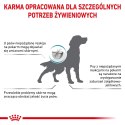ROYAL CANIN Hypoallergenic 14kg