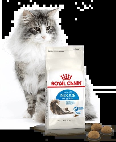 ROYAL CANIN Indoor Long Hair 10kg
