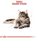 ROYAL CANIN Maine Coon Adult 4kg