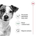 ROYAL CANIN Mini Adult 8kg