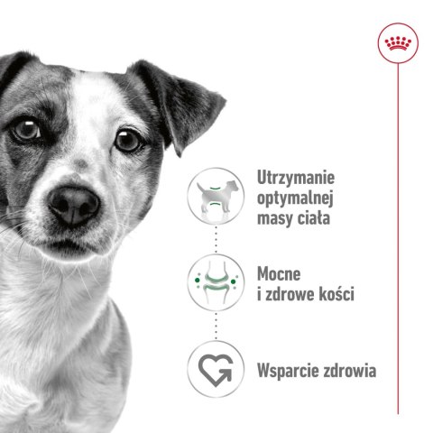 ROYAL CANIN Mini Adult 8kg