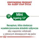 ROYAL CANIN Mini Ageing 12+ 3,5kg
