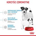 ROYAL CANIN Mini Starter 1kg