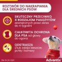 Bayer Advantix Krople Na Kleszcze I Pchły 2,5ml