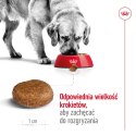 ROYAL CANIN Maxi Adult 5+ 15kg