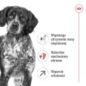 ROYAL CANIN Medium Adult 7+ 15kg