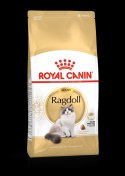 ROYAL CANIN Ragdoll Adult 10kg