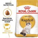 ROYAL CANIN Ragdoll Adult 10kg