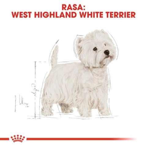 ROYAL CANIN West Highland White Terrier Adult 3kg