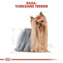 ROYAL CANIN Yorkshire Terrier Adult 1,5kg