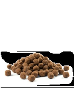 Versele-Laga Opti Life Adult Medium Z Kurczakiem I Ryżem 12,5kg