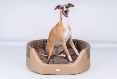 AMIPLAY Legowisko Elipsa Venus Złote S