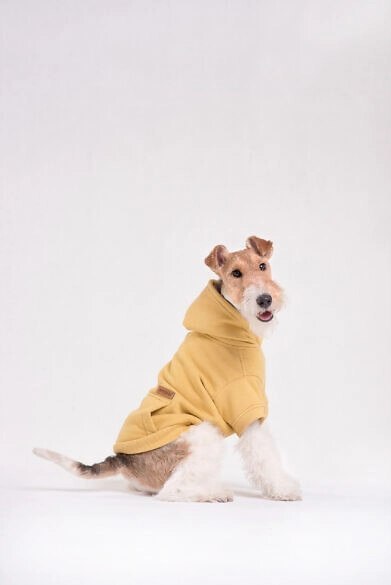 AMIPLAY Bluza Z Kapturem Texas Różowa 40cm