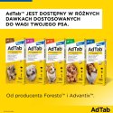 Elanco AdTab 56mg Tabletka Na Pchły I Kleszcze Dla Psów 1,3-2,5kg