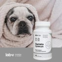 Lab-v Geriato Optimum Wspomaganie Zdrowia Seniorów Dla Psów I Kotów 45 Kapsułek
