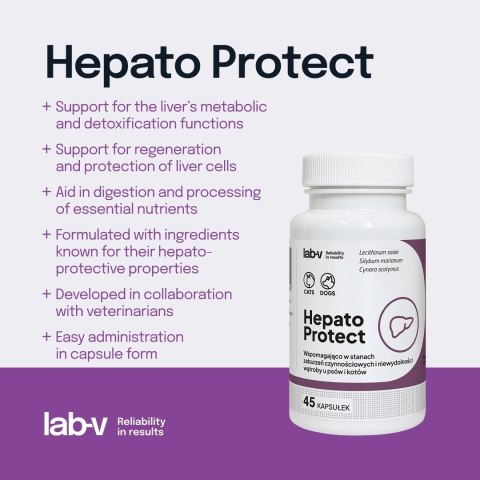 Lab-v Hepato Protect Wspomaganie Funkcji Wątroby Dla Psów I Kotów 45 Kapsułek