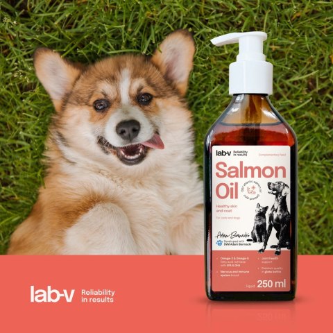Lab-v Olej Z Łososia 100% Dla Psa i Kota 250ml
