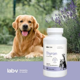 Lab-v Thyron - Wsparcie Prawidłowej Pracy Tarczycy dla Psów i Kotów 90 Kapsułek
