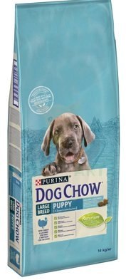 Purina Dog Chow Large Breed Puppy Z Indykiem 14kg