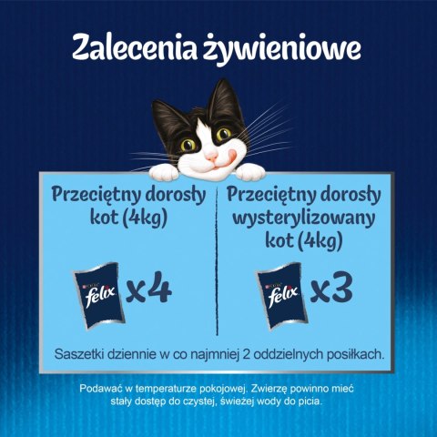 Felix Fantastic Królik W Galaretce 85g