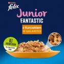 Felix Junior Kurczak W Galaretce 85g