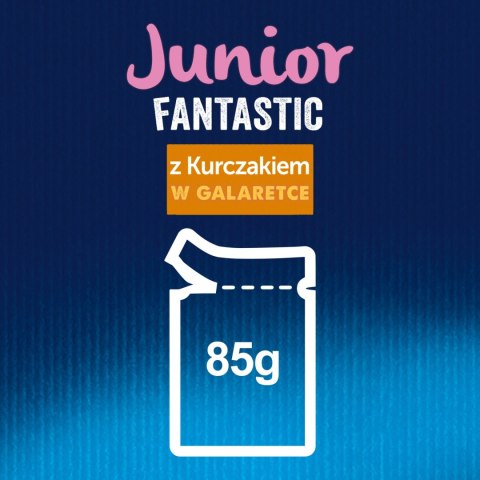 Felix Junior Kurczak W Galaretce 85g
