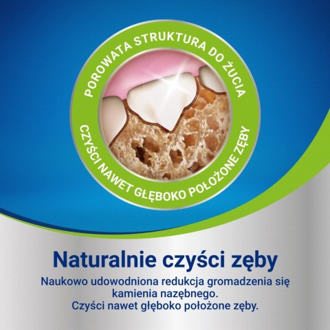PURINA Dentalife Medium 115g
