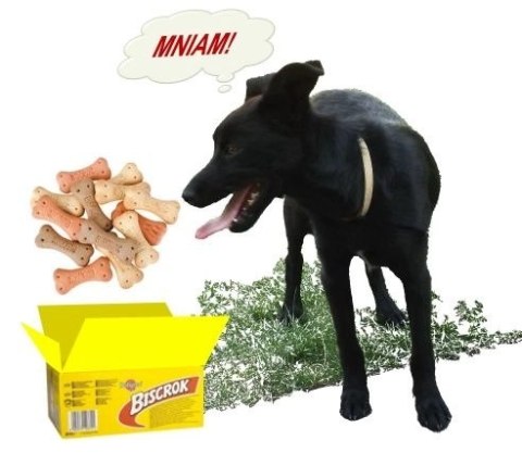 Pedigree Biscrok Ciasteczka Dla Dorosłych Psów W Kształcie Kostek Z Jagnięciną, Kurczakiem I Wołowiną 500g