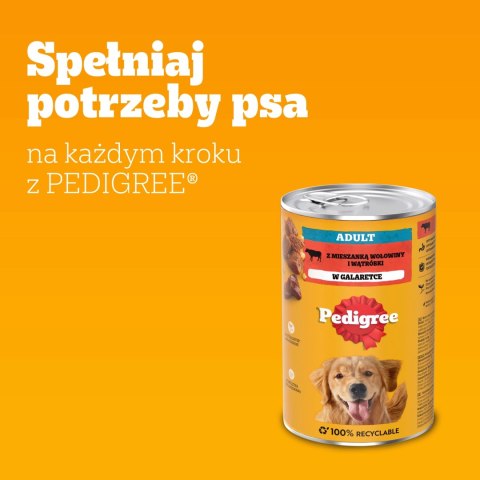 Pedigree Mokra Karma Dla Dorosłych Psów Z Wołowiną W Galaretce 1200g