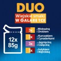Felix Duo Wiejskie Smaki W Galaretce Z Mięsem 12x85g