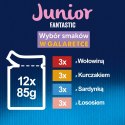 Felix Fantastic Junior W Galaretce 12x85g