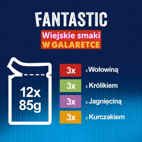 Felix Fantastic Wiejskie Smaki W Galaretce 12x85g