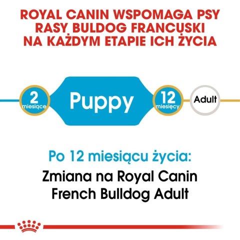 ROYAL CANIN French Bulldog Puppy 10kg