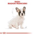 ROYAL CANIN French Bulldog Puppy 10kg