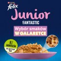 Felix Fantastic Junior W Galaretce Z Kurczakiem I Łososiem 4x85g