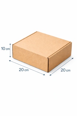 100 szt. Pudełko fasonowe karton wykrojnikowy 200x200x100mm (wymiary wewnętrzne)